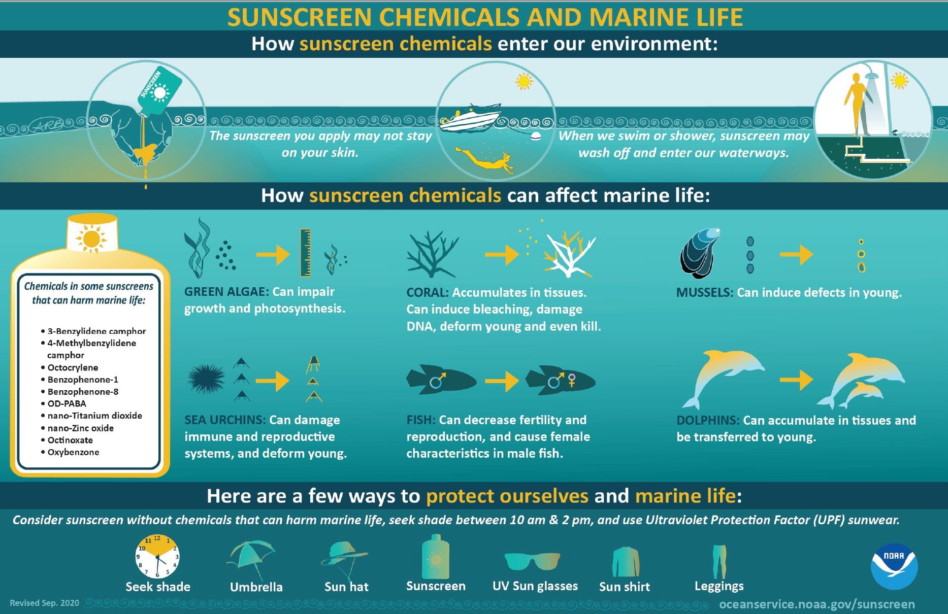 noaa coral sunscreen pictogram