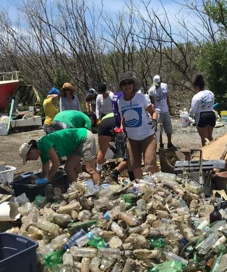 plastic bottles - cleanup