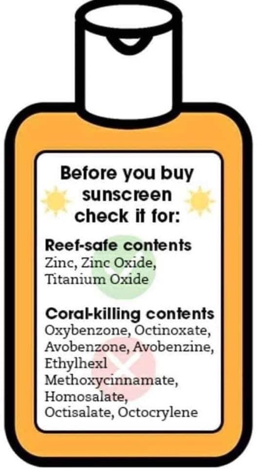 reef safe sunscreen bottle graphic